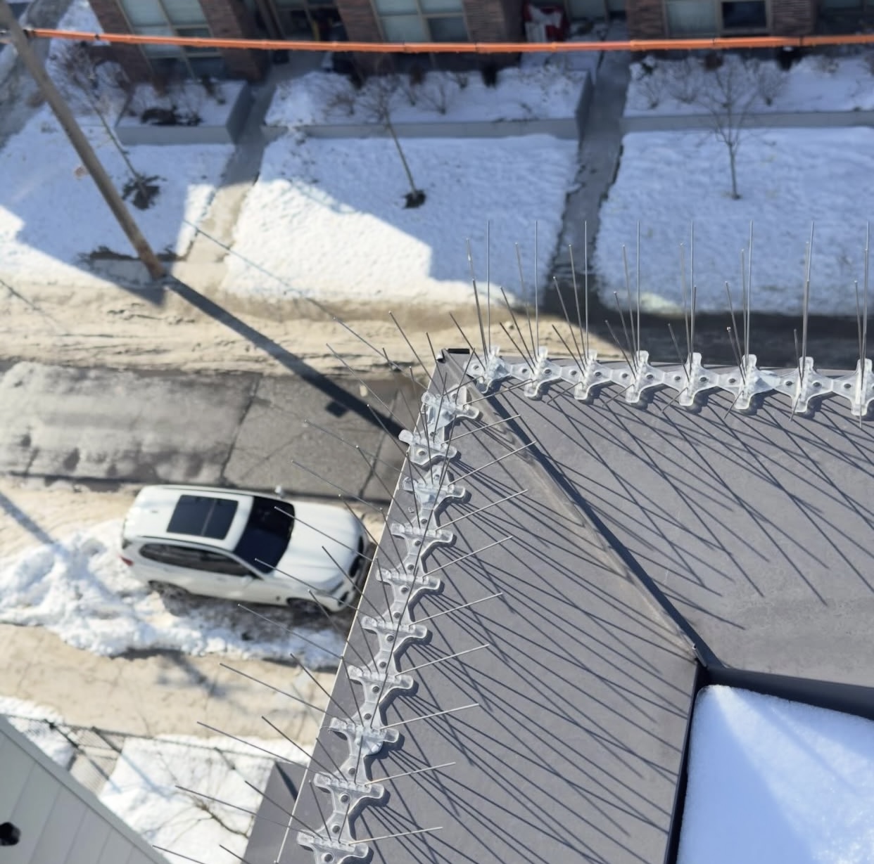 Bird spikes installed on a ledge
