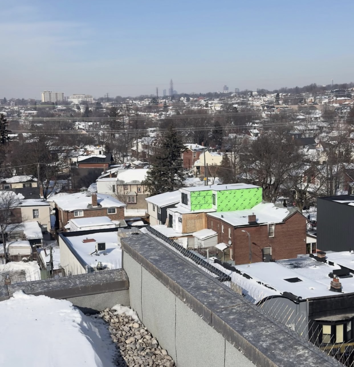 Roofline bird control