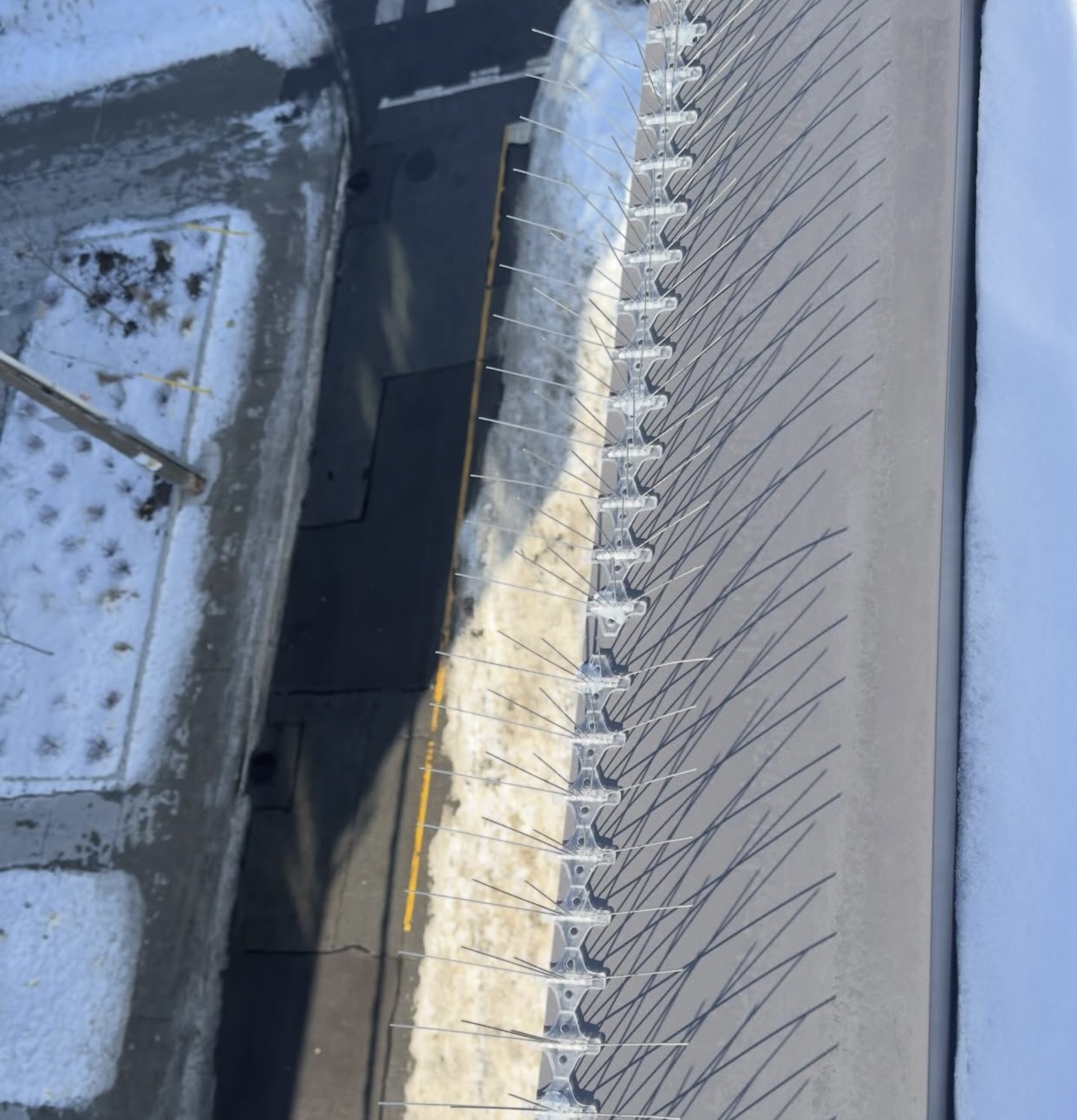 Bird spikes installed on a roof edge