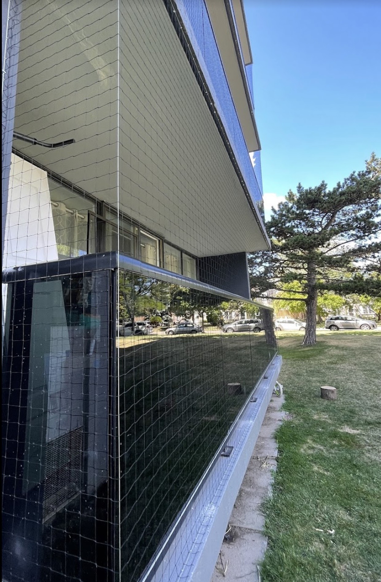 Commercial bird netting installation